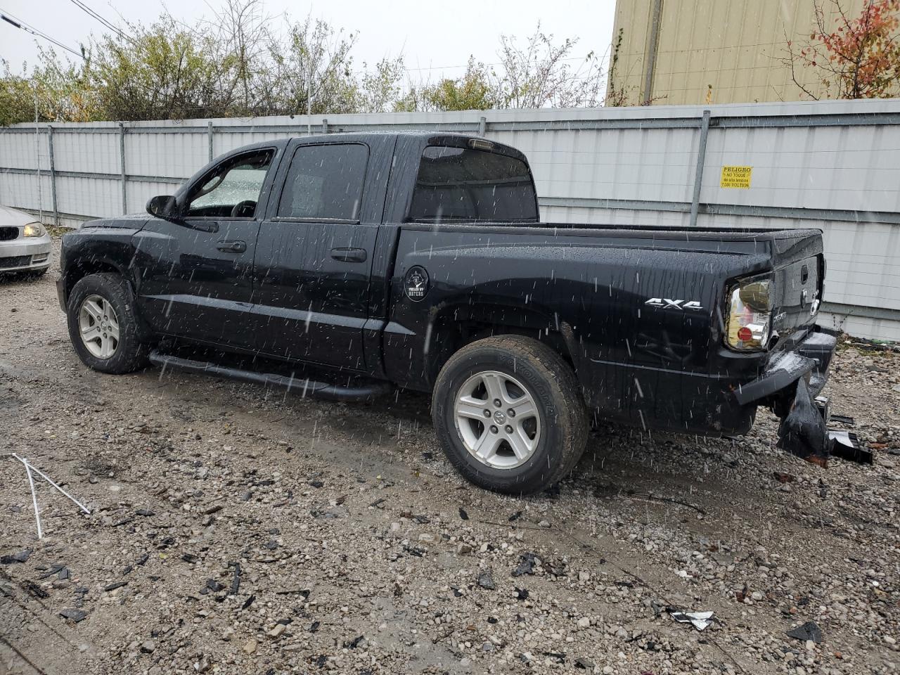 Lot #3026027964 2011 DODGE DAKOTA SLT