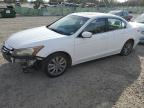 HONDA ACCORD EXL photo