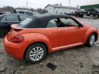 Lot #3022848293 2019 VOLKSWAGEN BEETLE S