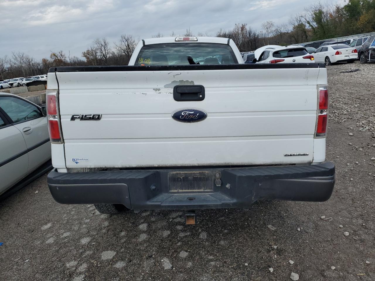 Lot #3033229808 2014 FORD F150