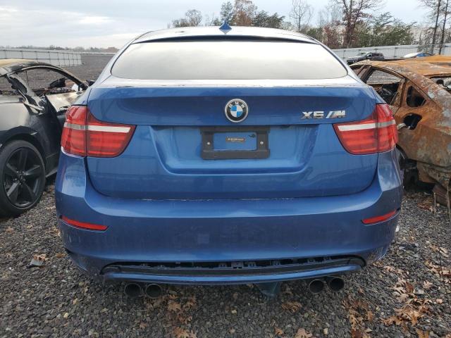 VIN 5YMGZ0C55DLL30143 2013 BMW X6 no.6