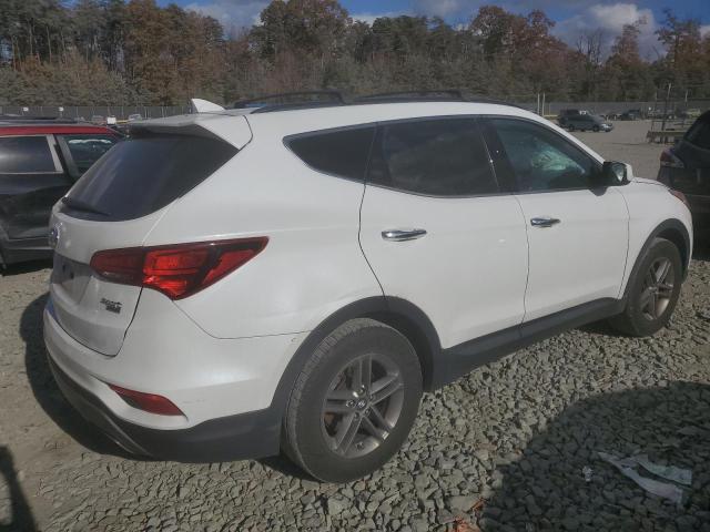 2017 HYUNDAI SANTA FE S - 5NMZUDLB8HH013963