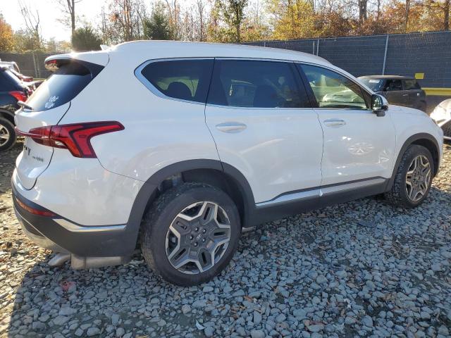 2023 HYUNDAI SANTA FE L - 5NMS5DA10PH008540