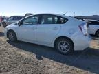 TOYOTA PRIUS photo