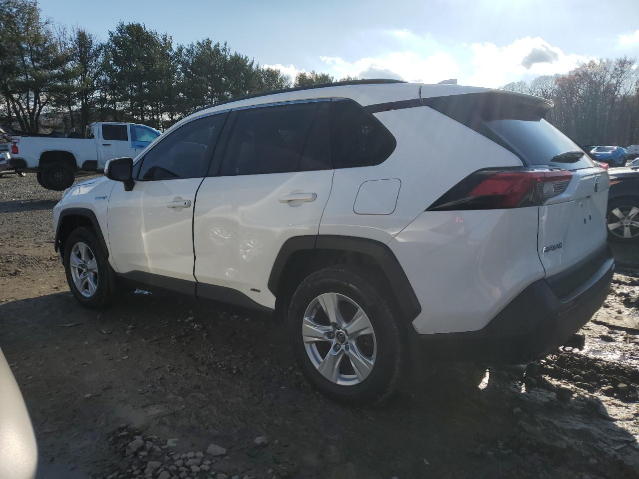 Lot #3029244893 2019 TOYOTA RAV4 LE