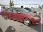 Lot #2957722101 2003 TOYOTA CAMRY LE