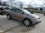 Lot #3025040220 2011 NISSAN MURANO S