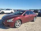 NISSAN MAXIMA S photo