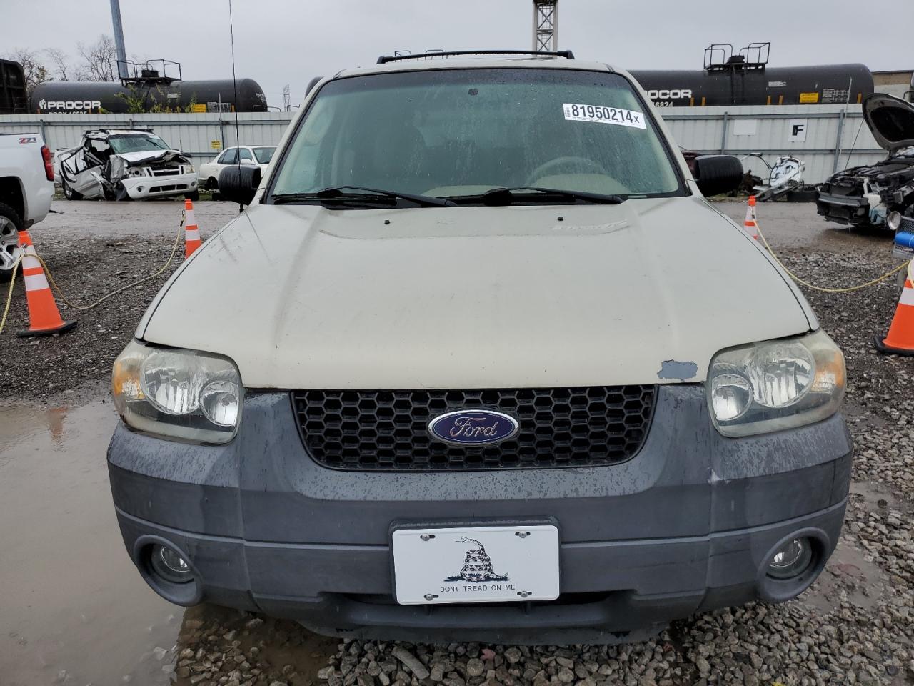 Lot #3003902605 2005 FORD ESCAPE