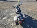 Lot #3004054402 2019 HARLEY-DAVIDSON XL1200 C