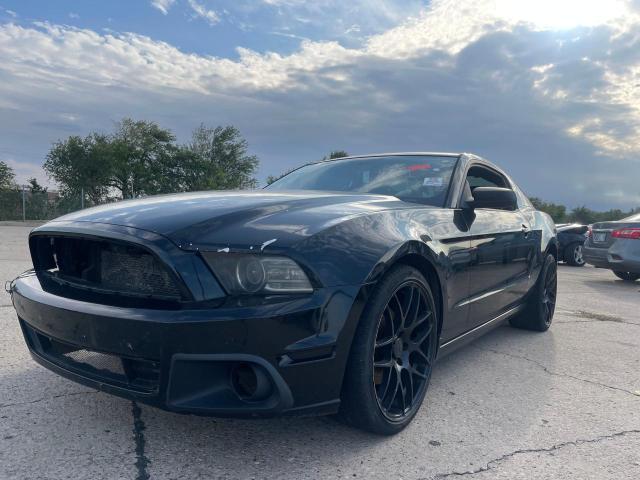 FORD MUSTANG 2013 black coupe gas 1ZVBP8AMXD5275997 photo #3