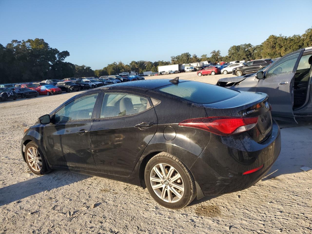 Lot #2954916157 2015 HYUNDAI ELANTRA SE