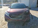 Lot #3027072785 2016 HONDA CR-V SE