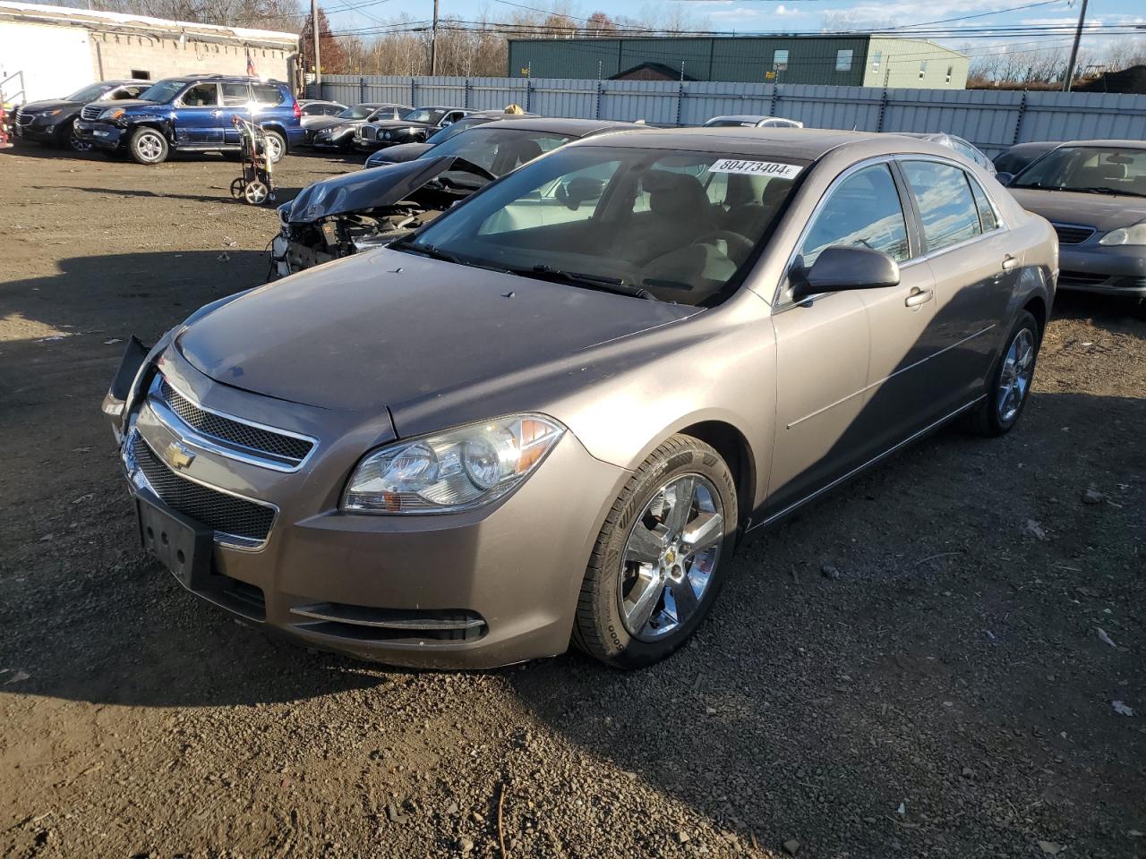 Lot #2994088360 2010 CHEVROLET MALIBU 2LT