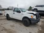 Lot #3027089780 2010 FORD F-150