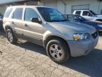 Lot #3023103898 2007 FORD ESCAPE XLT