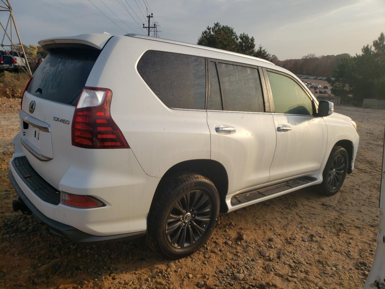 Lot #2945304506 2022 LEXUS GX 460