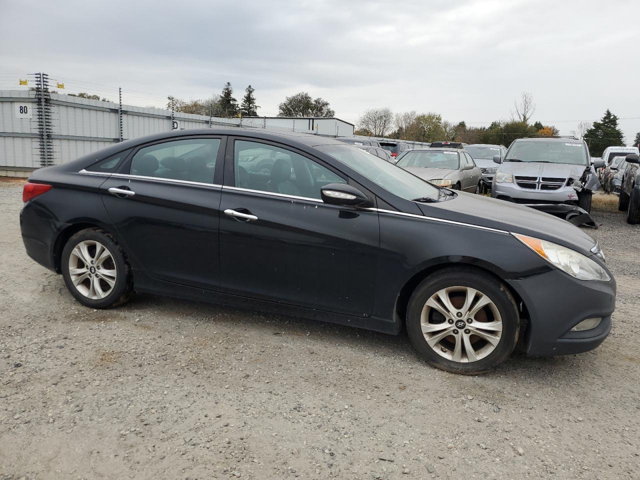 Lot #2952735201 2013 HYUNDAI SONATA SE