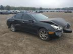 Lot #3025041185 2004 LEXUS ES 330