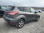 Lot #3023632296 2014 FORD ESCAPE SE