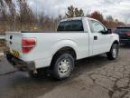 Lot #3024623598 2013 FORD F-150 XL