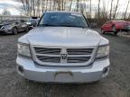 DODGE DAKOTA SXT photo