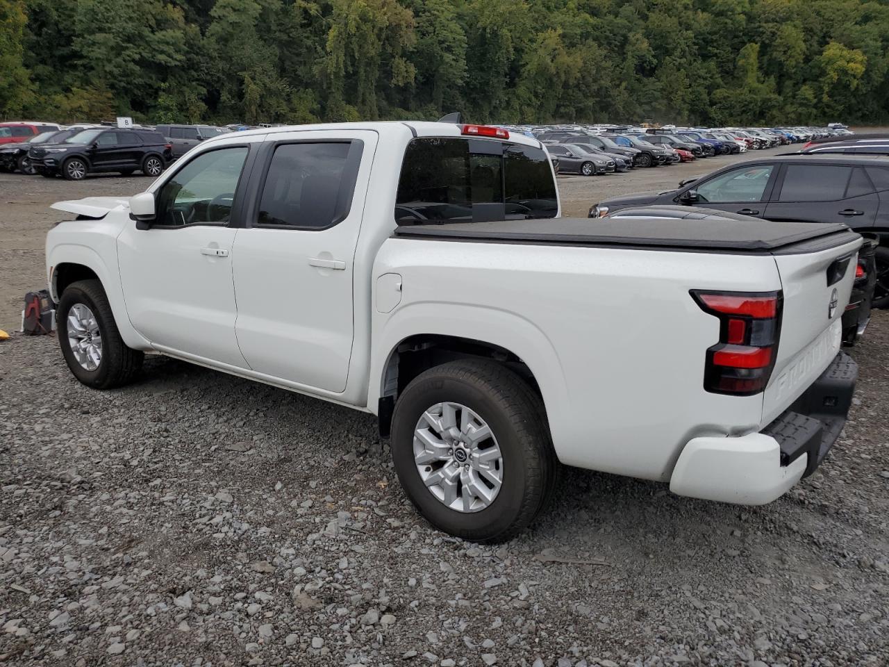 Lot #2991391871 2023 NISSAN FRONTIER S