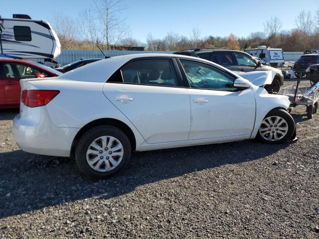 KIA FORTE EX 2012 white sedan 4d gas KNAFU4A28C5582858 photo #4