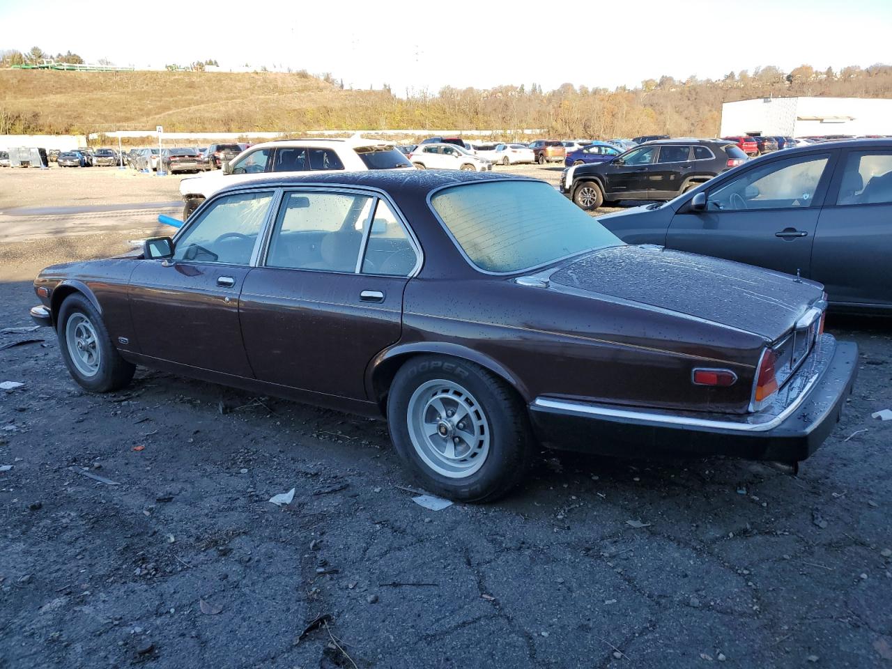 Lot #2969800339 1984 JAGUAR XJ6