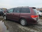 HONDA ODYSSEY EX photo