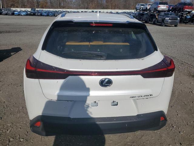 VIN JTHP9JBH0R2079022 2024 LEXUS UX 250H PR no.6