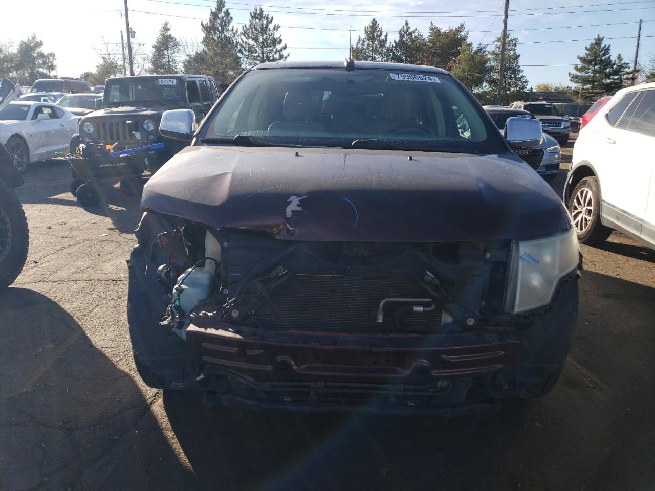 Lot #3004410745 2009 FORD EDGE SEL