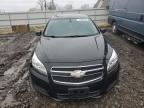 Lot #3024062769 2013 CHEVROLET MALIBU