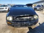 Lot #3006721363 2006 FORD MUSTANG