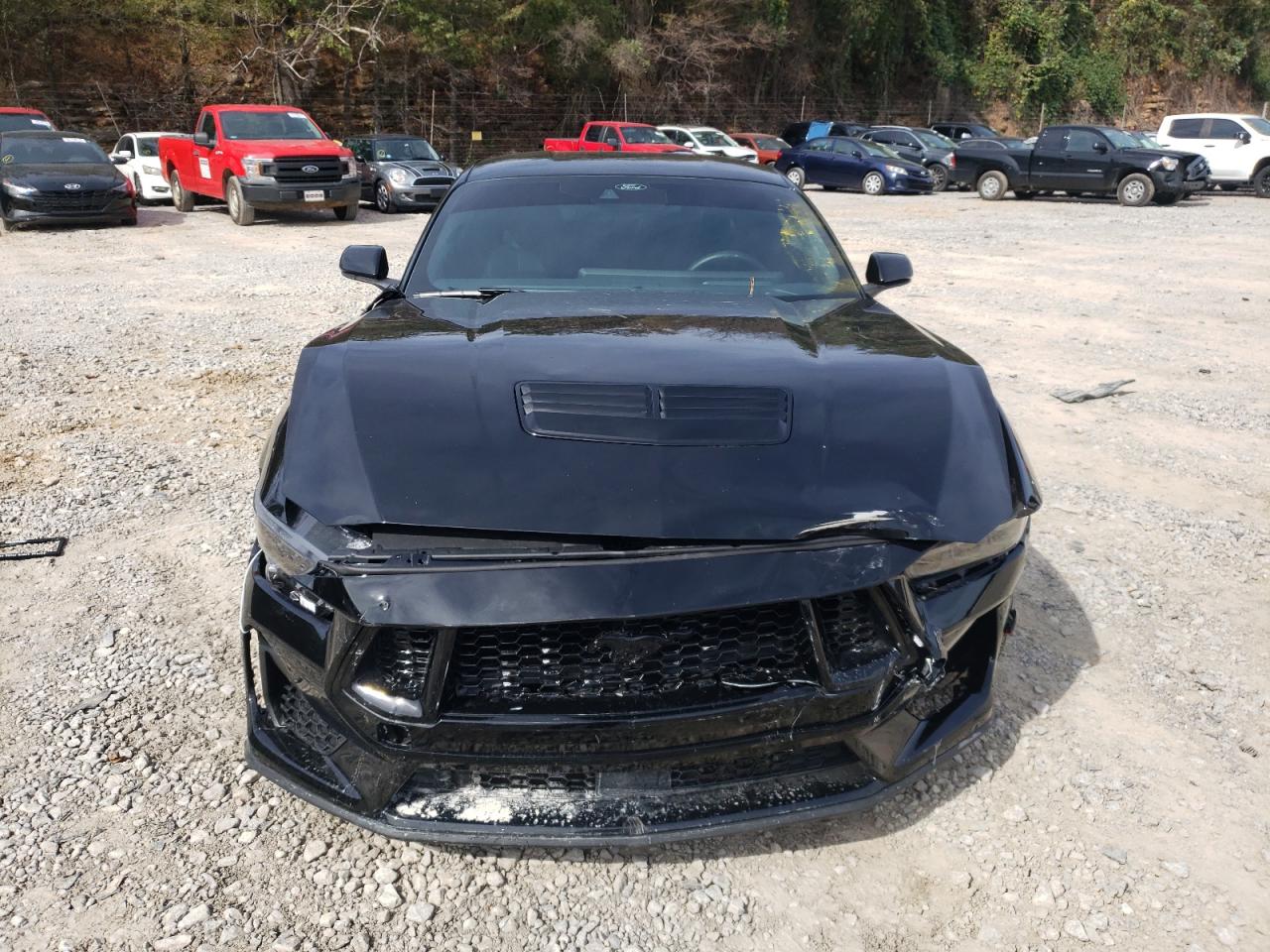 Lot #3024923414 2024 FORD MUSTANG GT