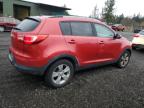 Lot #2996806864 2011 KIA SPORTAGE L