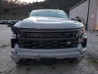 Lot #3024651587 2024 CHEVROLET SILVERADO