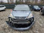 Lot #3006119776 2011 HONDA CR-V EX