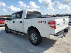 Lot #3025204632 2014 FORD F150 SUPER