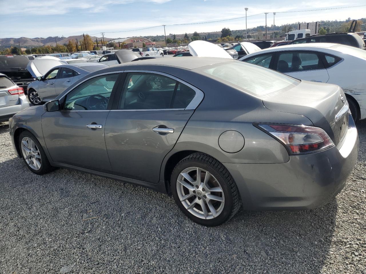 Lot #2991973334 2014 NISSAN MAXIMA S