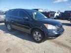 Lot #3006029752 2010 HONDA CR-V LX