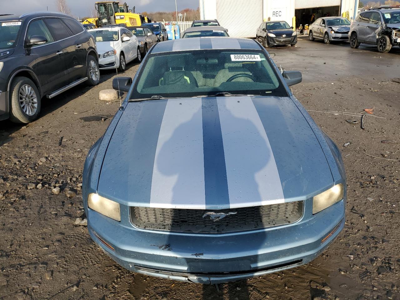 Lot #2969590660 2007 FORD MUSTANG