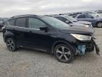 Lot #3025203589 2017 FORD ESCAPE SE