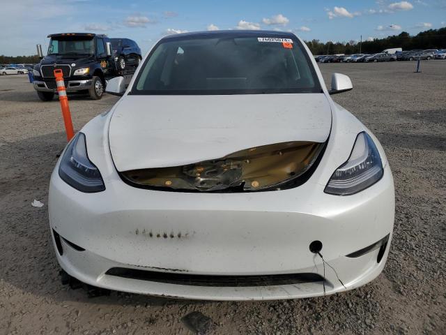 2021 TESLA MODEL Y - 5YJYGDEE1MF233600