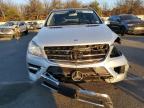 MERCEDES-BENZ ML 250 BLU photo