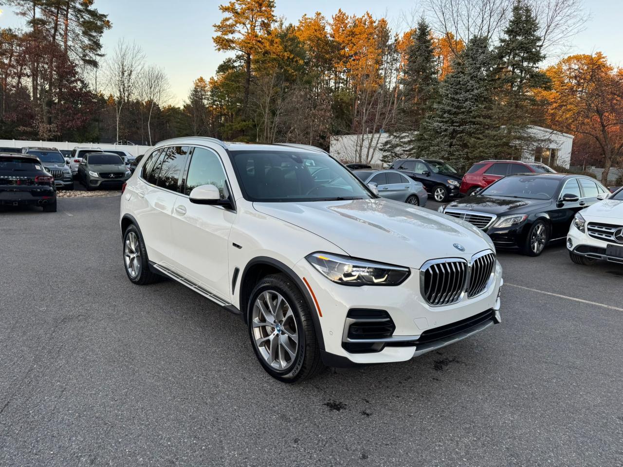 Lot #2991027216 2023 BMW X5 XDRIVE4