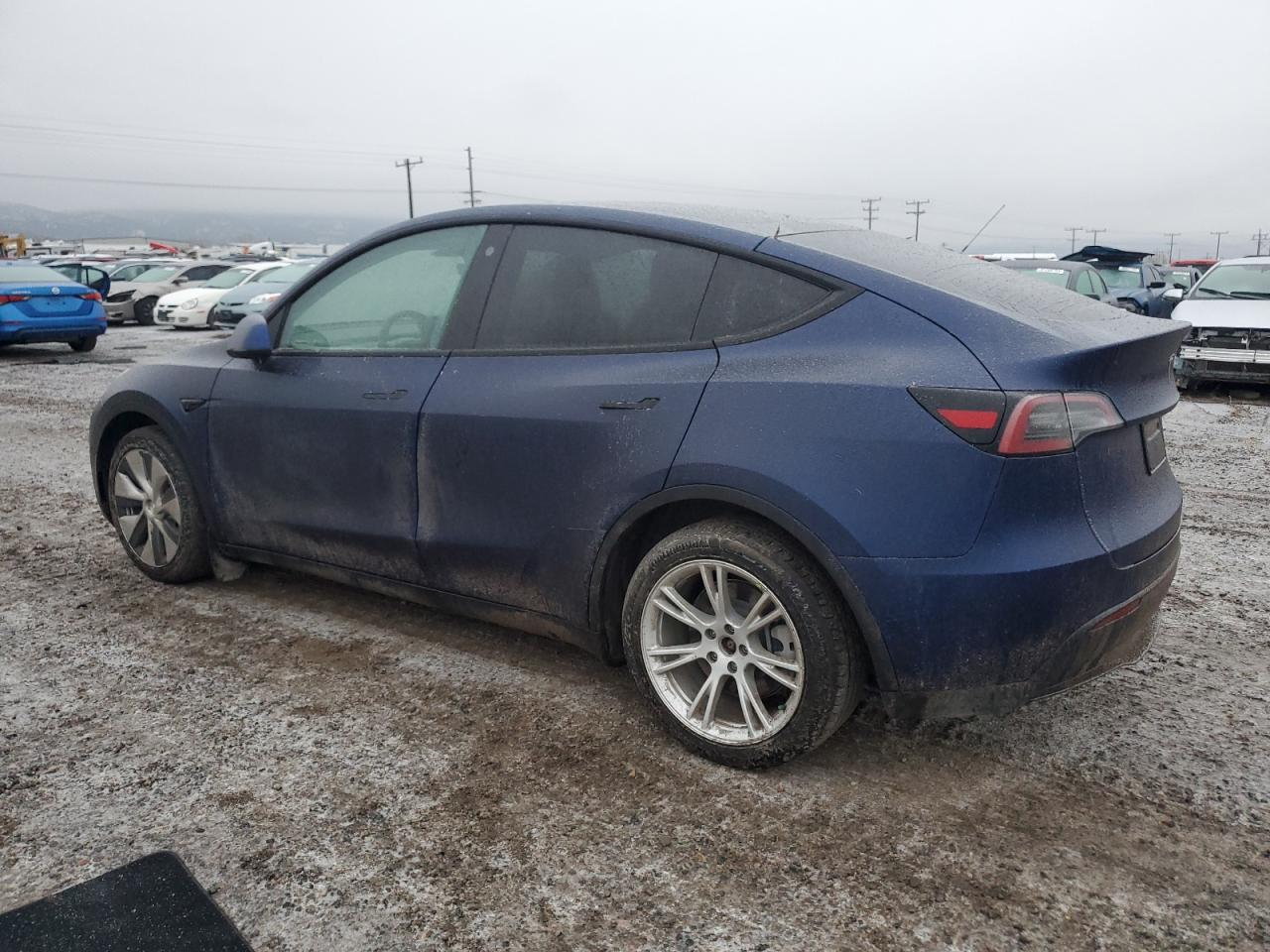 Lot #3004400733 2022 TESLA MODEL Y