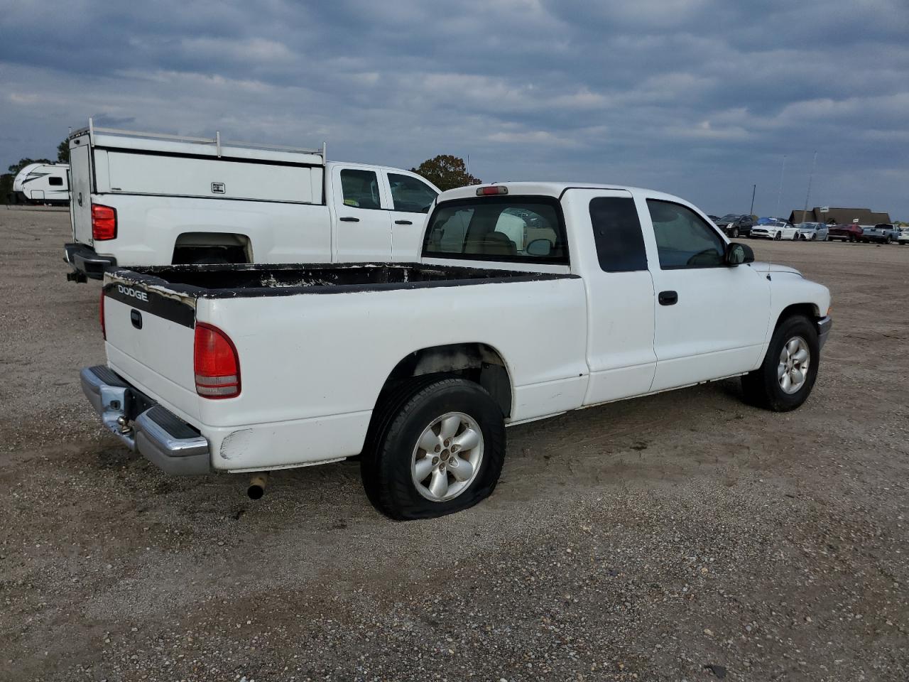 Lot #3006546808 2004 DODGE DAKOTA SLT