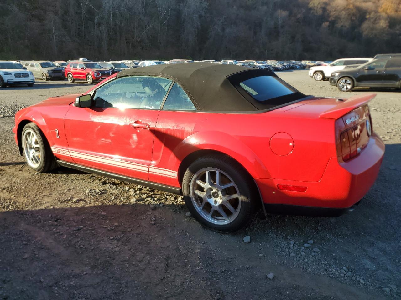 Lot #3025720315 2008 FORD MUSTANG SH