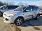 Lot #3024584569 2013 FORD ESCAPE SEL